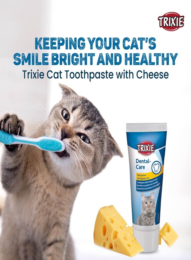 Trixie Mega Combo Pack- Cats Dental Hygiene Set - Cat Toothpaste with Cheese Flavour (50 g), 2 toothbrushes with 3 Different Heads with 701 Spin and Scratch Cat Catnip Toss and Bat Toy - Image 3